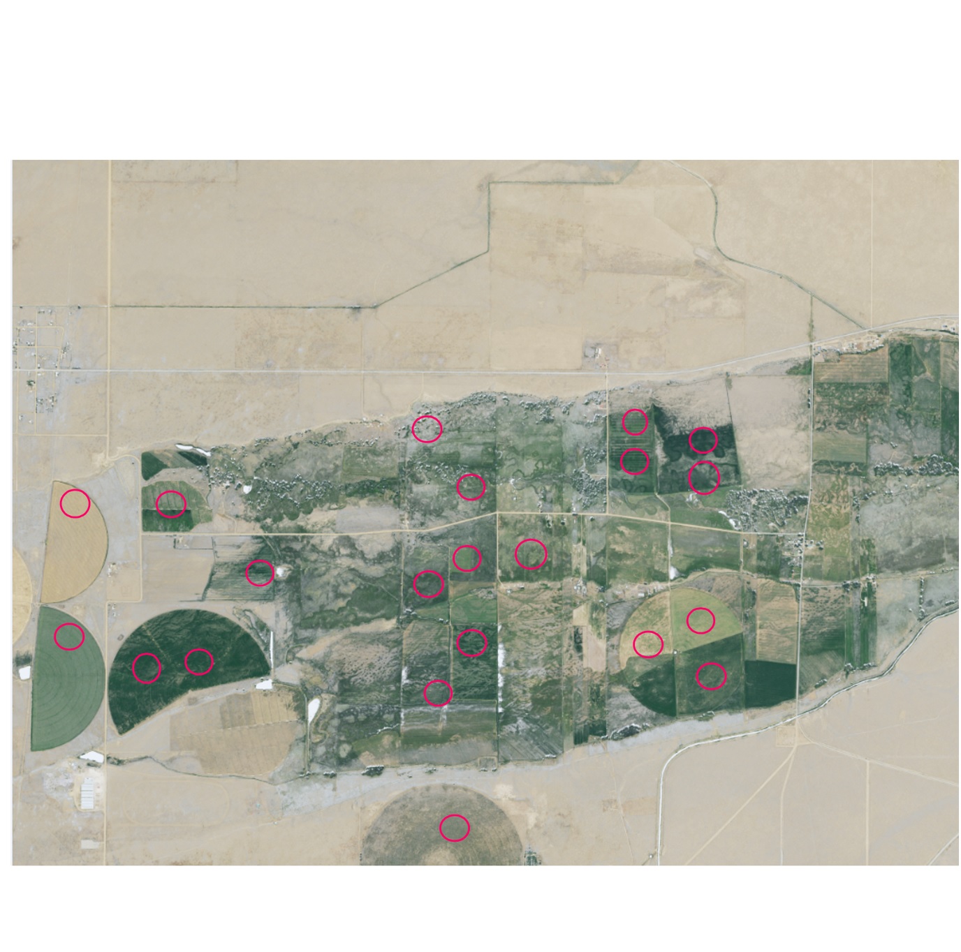 NAIP imagery of an Agricultural Area in the San Luis Valley, CO