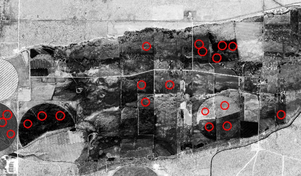 NAIP (red band) Imagery of an Agricultural Area in San Luis ,CO