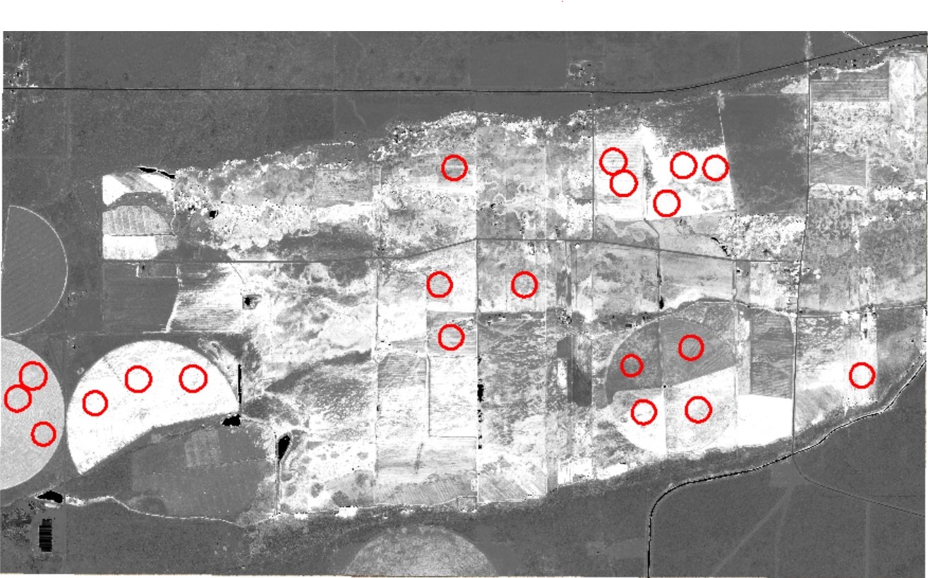 Map of an Agricultural Area in San Luis, CO. with NDVI values